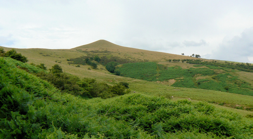 Lose Hill Lose Hill